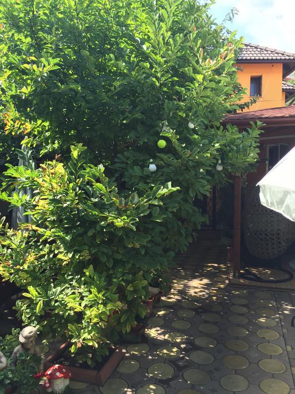 Hotel Casa Belazur Deva Exterior foto